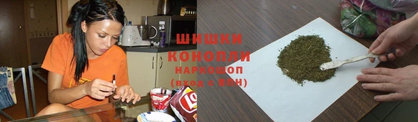 крисы Арсеньев