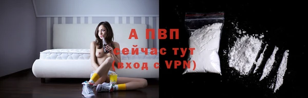 крисы Арсеньев