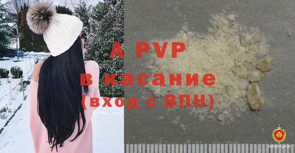 крисы Арсеньев